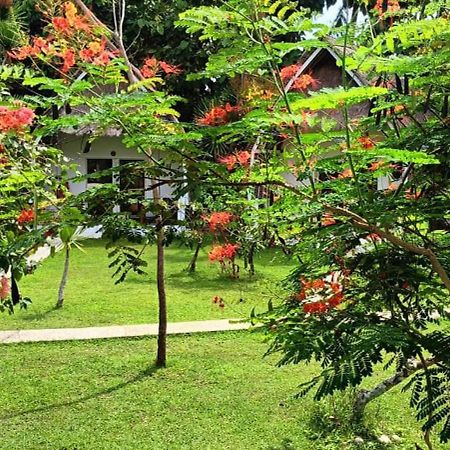 Namaste Bungalows Sakti Dış mekan fotoğraf